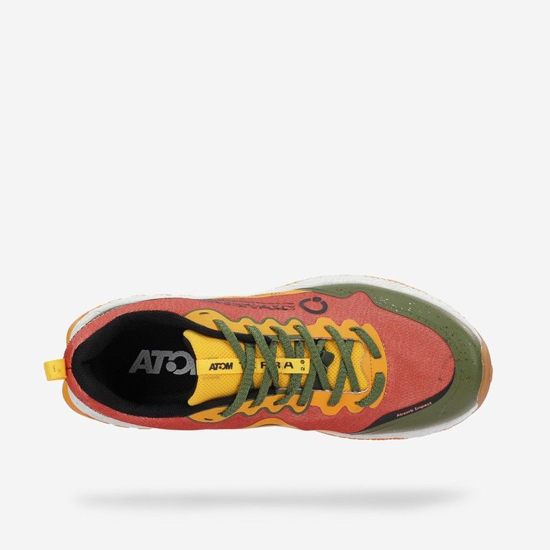 Zapatilla Atom Terra 2